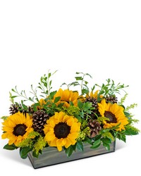 Rustic Autumn Fields from Olander Florist, fresh flower delivery in Chicago